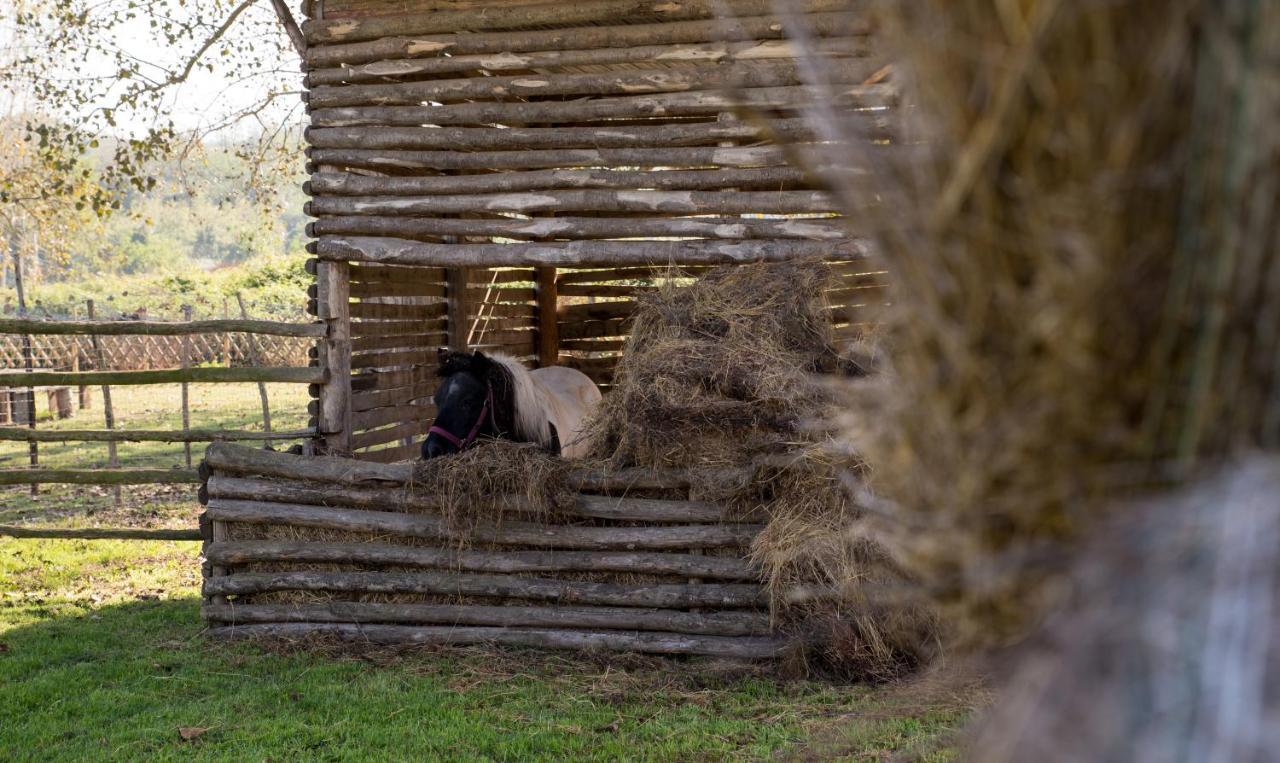 Country House Nonno Andrea Bed & Breakfast Limatola Bagian luar foto